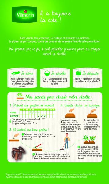 Légumes Secs - Haricot Nain Vert Argus + échantillon Oxinel 2 - MEDIA_PACKAGING_VERSO